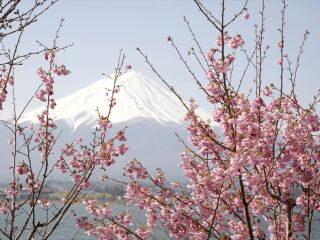 旅行团日本旅游_日本旅游不跟团_去日本7天游