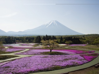 日本最佳旅游_近期去日本旅游_日本六日跟团旅游