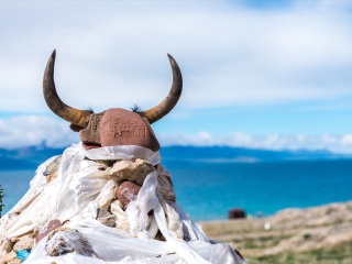 西藏拉薩組團旅游_跟團西藏拉薩旅游價格表_旅游團西藏拉薩