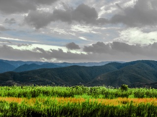 云南麗江旅游要多少錢跟團_春節(jié)去云南麗江旅游價格_云南麗江旅游九日游