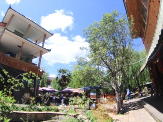 云南香格里拉旅游價格_云南香格里拉高端品質(zhì)旅游團(tuán)_云南香格里拉旅游跟團(tuán)需多少錢