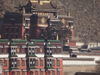 去新疆游怎么省錢_新疆八月份旅游_新疆自由行還是跟團(tuán)好