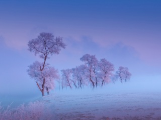 旅游去亞布力雪鄉(xiāng)_亞布力雪鄉(xiāng)自由游價(jià)格多少_亞布力雪鄉(xiāng)最佳旅游路線