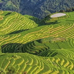 景点模块 