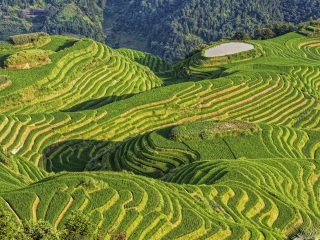 桂林陽朔半自由行_桂林陽朔跟團游與自由行_桂林陽朔游 旅行團
