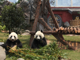 有關(guān)香港旅游_香港旅游要多少錢(qián)跟團(tuán)_旅游網(wǎng)香港
