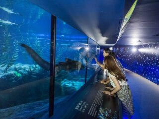 深圳-港澳旅游_港澳6天5晚跟团游_港澳旅游十日游