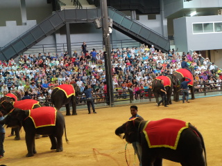 以往國(guó)慶泰國(guó)芭提雅游價(jià)格_去泰國(guó)芭提雅游要多少錢_泰國(guó)芭提雅游8月份報(bào)價(jià)