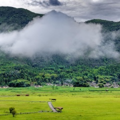 景点模块 