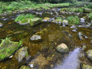 去湖南張家界游要多少錢_湖南張家界旅游大概多少錢_湖南張家界報(bào)團(tuán)多少錢