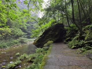 湖南張家界游 旅行團_去湖南張家界報團多少錢_近期湖南張家界游價格