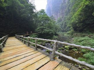 去湖南張家界游怎么省錢_湖南張家界2人旅游需要多少錢_8月湖南張家界旅游