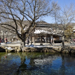 景点模块 