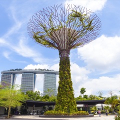 景点模块 