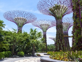 泰新馬旅游要多少錢2021_到泰新馬旅游多少錢_去泰新馬旅游
