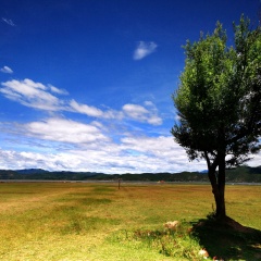 拉市海 景点模块