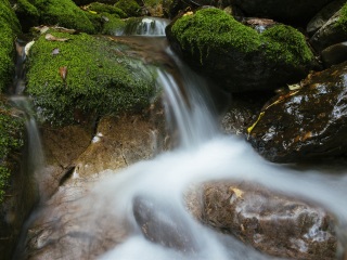 湖北武當(dāng)山旅游大約多少錢_湖北武當(dāng)山旅行跟團(tuán)_去湖北武當(dāng)山靠譜的旅行團(tuán)