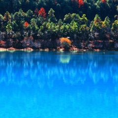 景点模块 