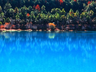 麗江瀘沽湖旅游團(tuán)報(bào)價(jià)2021_麗江瀘沽湖旅游報(bào)團(tuán)價(jià)格_報(bào)團(tuán)去麗江瀘沽湖多少錢(qián)