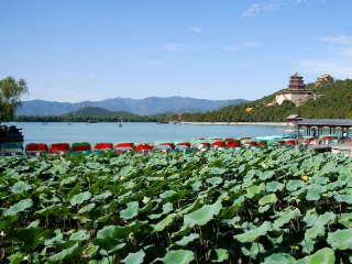 云南麗江游報價_去云南麗江報團多少錢_云南麗江旅行團自由行