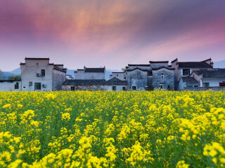黃山旅游大約多少錢_黃山游 旅行團(tuán)_黃山特價旅游團(tuán)報價