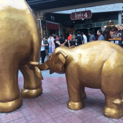 景点模块 
