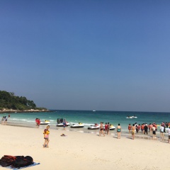 景点模块 