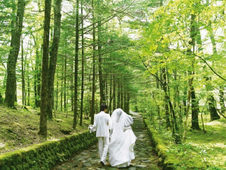 去日本旅游团_深圳日本十日游纯玩团_日本跟团五日游