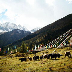 景点模块 