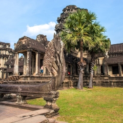 暹粒 小交通模块