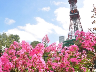 日本東京旅游要多少錢(qián)2021_日本東京旅游報(bào)價(jià)_怎么去日本東京旅游
