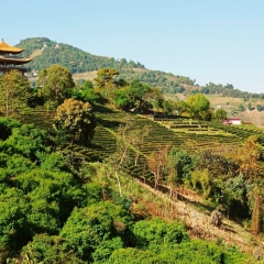 小交通模块 