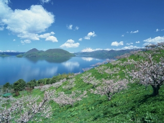 日本双飞旅游报价_跟团去日本游_去日本会议旅游