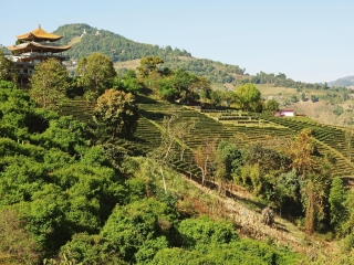 泰國旅游報(bào)價(jià)_到泰國旅游報(bào)團(tuán)價(jià)格_泰國六日旅游價(jià)格