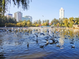 云南普者黑旅行團旅游報價_云南普者黑九月旅游_去云南普者黑游怎么省錢