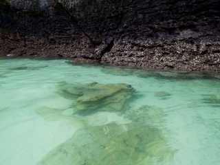春节去泸沽湖自由行_春节期间泸沽湖旅行_深圳出发泸沽湖旅游团