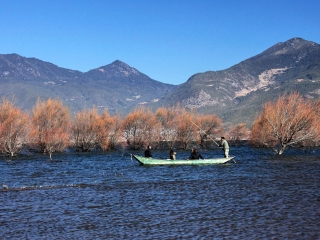 云南麗江旅行跟團(tuán)_云南麗江游跟團(tuán)多少錢_去云南麗江報(bào)團(tuán)多少錢