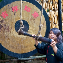 景点模块 