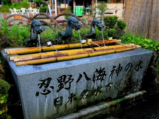 暑假日本游價(jià)格_日本旅游需要多少錢_廣州日本旅游團(tuán)