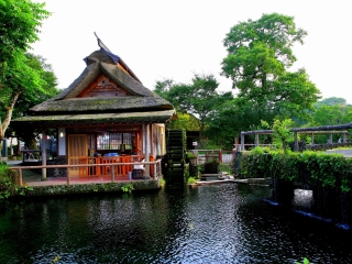 近期日本游價(jià)格_10月1日日本旅游報(bào)價(jià)_日本旅游幾月份最好