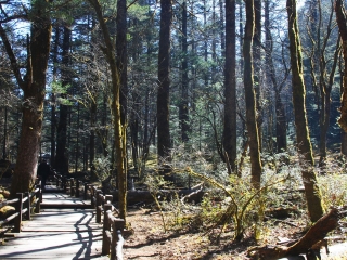 組團(tuán)去云南玉龍雪山_云南玉龍雪山自由行旅游團(tuán)_云南玉龍雪山旅游大概多少錢(qián)
