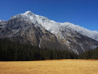 組團(tuán)去云南玉龍雪山_云南玉龍雪山自由行旅游團(tuán)_云南玉龍雪山旅游大概多少錢(qián)