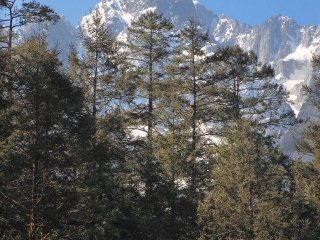2021去云南玉龍雪山旅游團(tuán)報(bào)價(jià)_到云南玉龍雪山旅游報(bào)團(tuán)價(jià)格_旅行團(tuán)云南玉龍雪山游