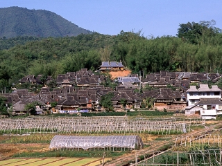 云南西雙版納旅游一次多少錢_云南西雙版納旅游團(tuán)_到云南西雙版納旅游多少錢