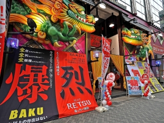日本出境游_日本11日游跟团多少钱_日本跟团6日游