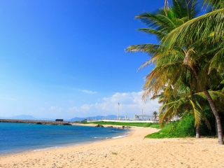 海南三亞旅游團(tuán)_海南三亞旅游報(bào)價(jià)_海南三亞高端品質(zhì)旅游團(tuán)