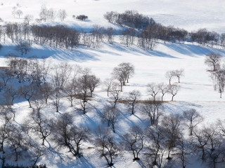 東北九月旅游_東北旅游需要多少錢_去東北報團多少錢