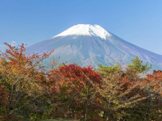 日本6天游_旅游日本跟团_组团日本旅游