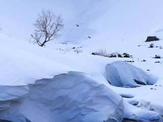 東北九月旅游_東北旅游需要多少錢_去東北報團多少錢