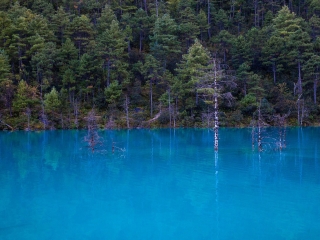 云南玉龍雪山旅游費(fèi)用_云南玉龍雪山旅游價(jià)格_云南玉龍雪山私人定制旅游